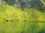 Twenger Almsee