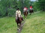 Reiten und Kutschenfahrten