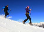 Schneeschuh- & Winterwandern