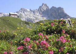 Wandern im Naturpark Riedingtal