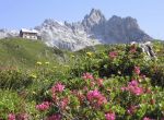Wandern im Naturpark Riedingtal