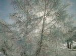 winterzauber